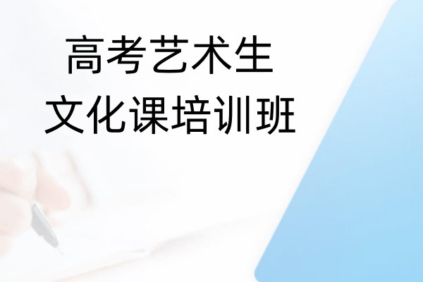高考艺术生文化课培训班
