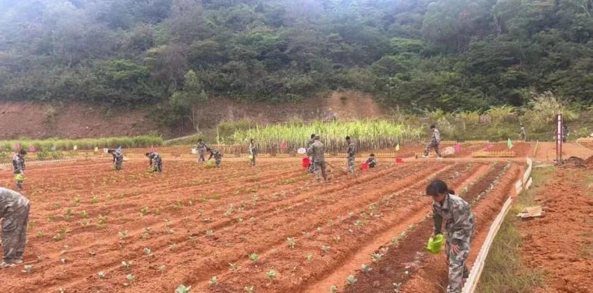 广东砺剑少年教育_学校环境