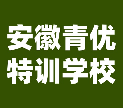 安徽青优特训学校