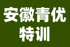 安徽青优特训学校