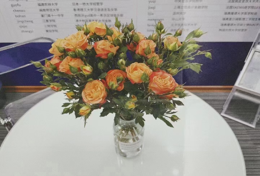 乘帆留学服务中心_留学申请咨询接待室