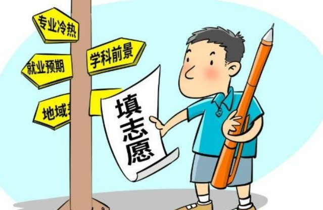 填志愿 填志愿