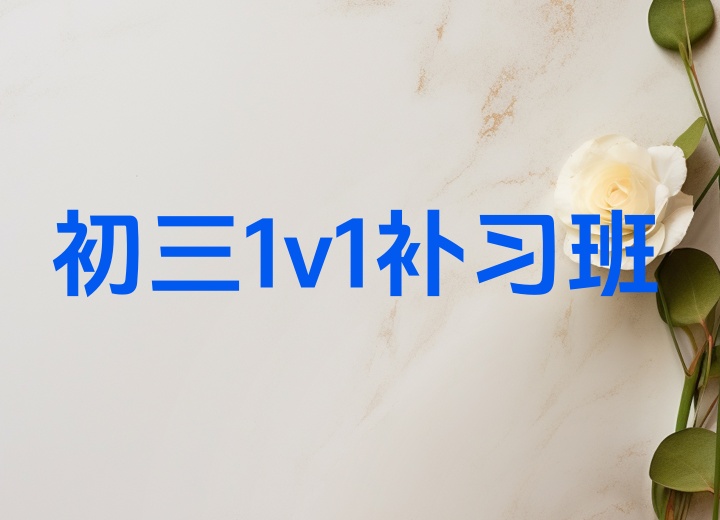 初三1v1补习班