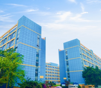 新学高考学校