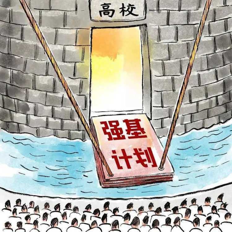 强基计划志愿报考辅导机构