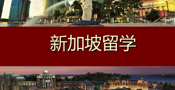 新加坡留学哪个学校好