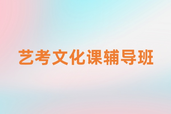 中考艺考文化课辅导班