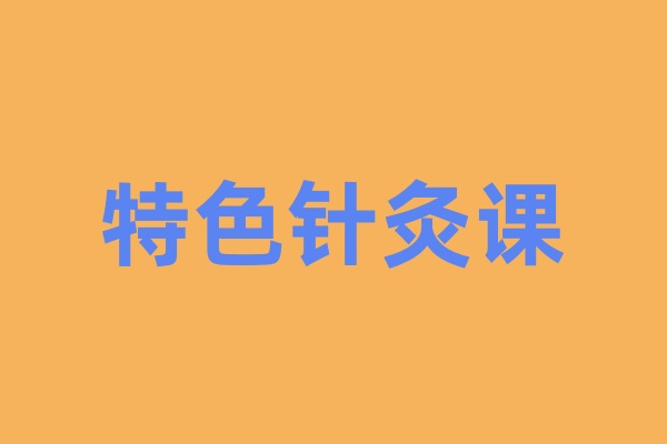 中医针灸课程