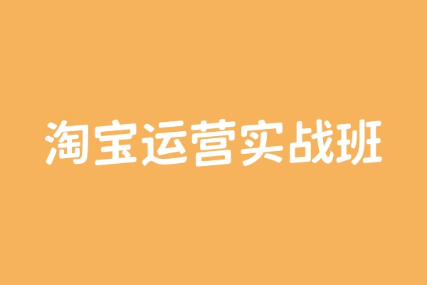 淘宝运营实战班