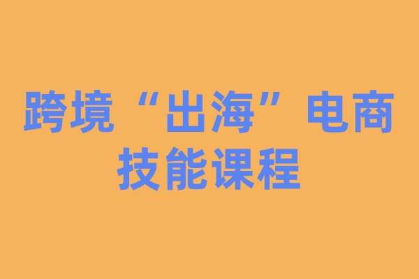 跨境“出海”电商技能课程
