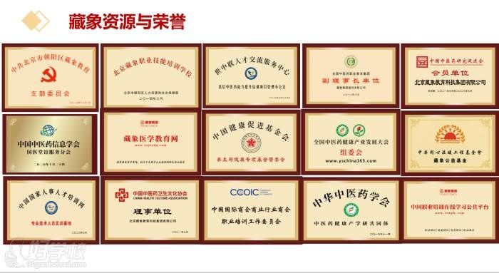 藏象教育
