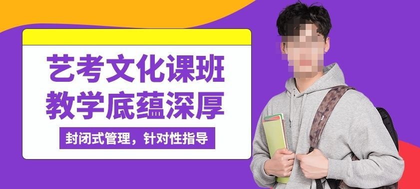 艺考生文化课冲刺