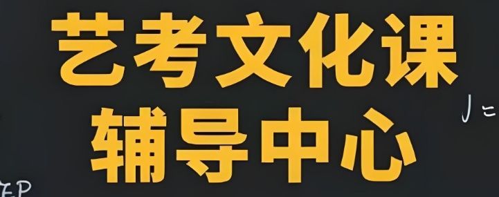 广州天河区高三艺考生文化课特训营价格