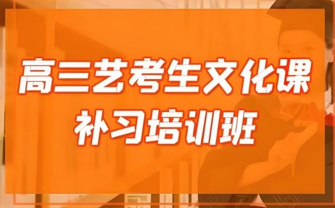 高三艺考生文化课特训营