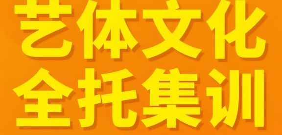浦东艺考文化课冲刺