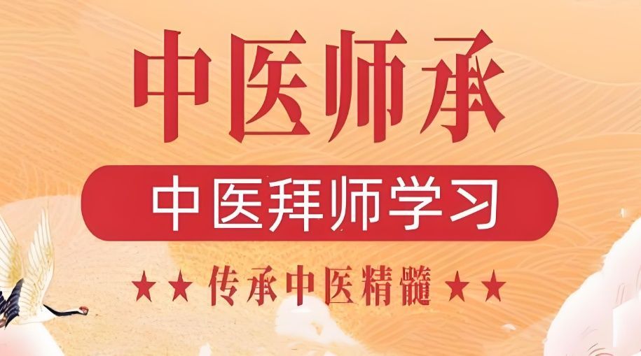 中医师承投资回报