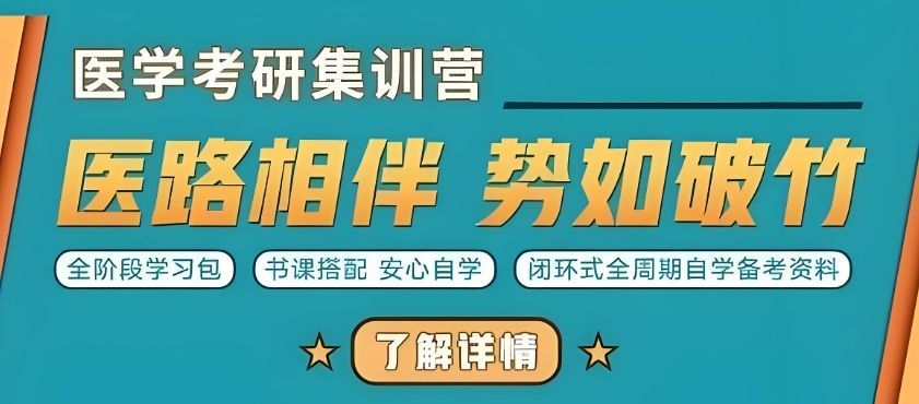 郑州中原区效果好考研英语培训