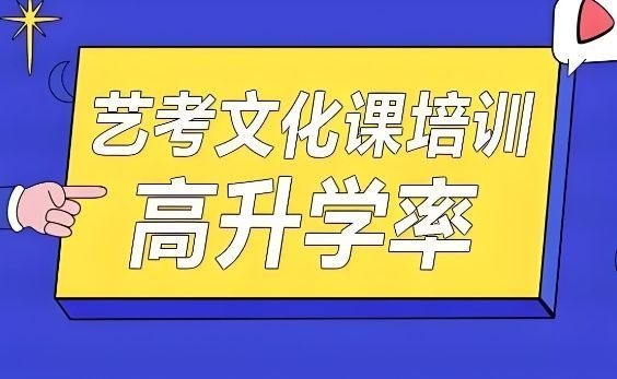 广州天河区艺考生文化课辅导