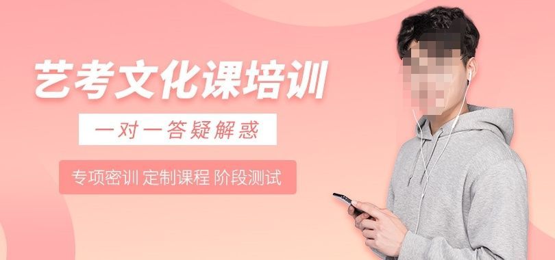 艺考生文化课辅导