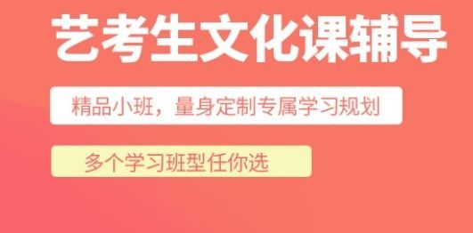 广州天河区文化课辅导