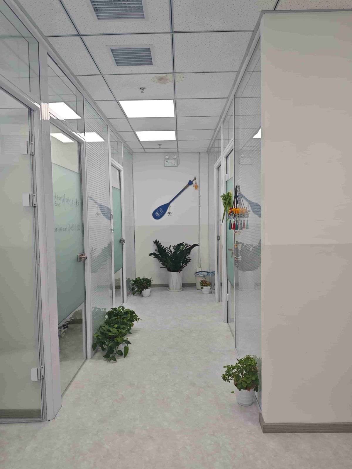 中医师承培训