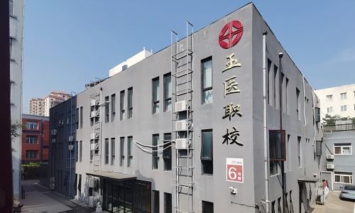 中医针灸培训