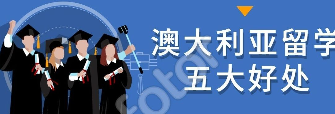 世嵘国际