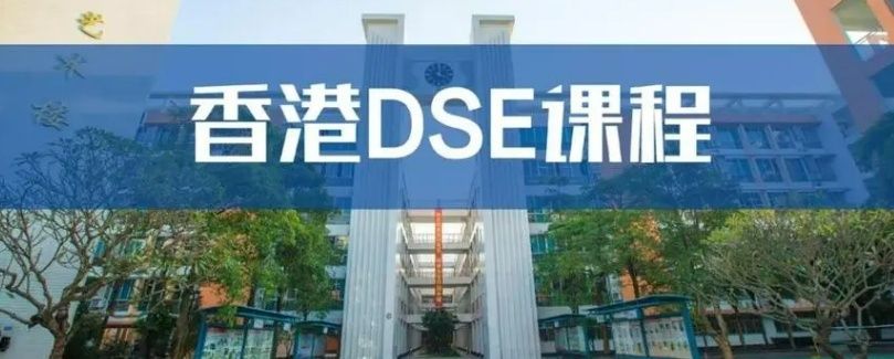 DSE课程体系