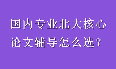 国内专业北大核心论文辅导怎么选？从避坑到发表的完整攻略