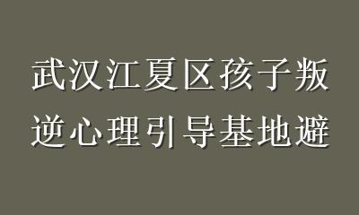 武汉江夏区孩子叛逆心理引导基地避坑指南：选对机构才是改变的开始