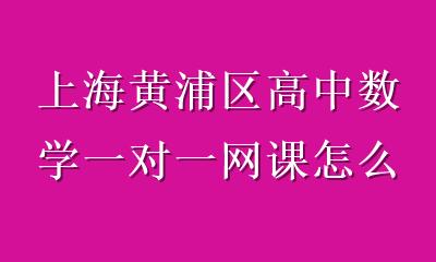 上海黄浦区高中数学一对一网课怎么择校？5个本地化标准帮你选对不踩坑